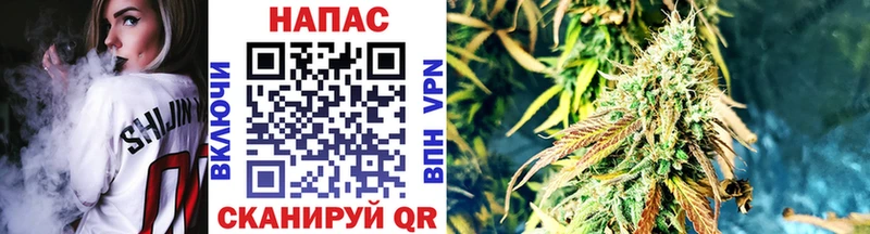 Купить закладку Alpha-PVP  МЕФ  ГАШ  Каннабис  Новосиль