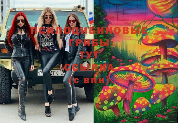 дмт Кулебаки
