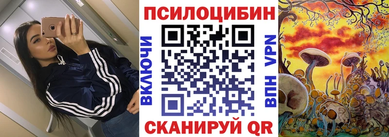 Купить Новосиль Псилоцибиновые грибы Psilocybe